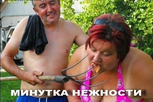 Прикольные картинки (81 фото)