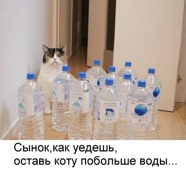 Прикольные картинки (79 фото)