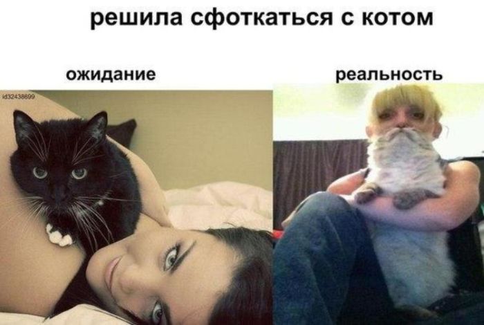 Прикольные картинки (79 фото)