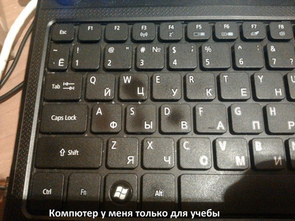 Прикольные картинки (79 фото)