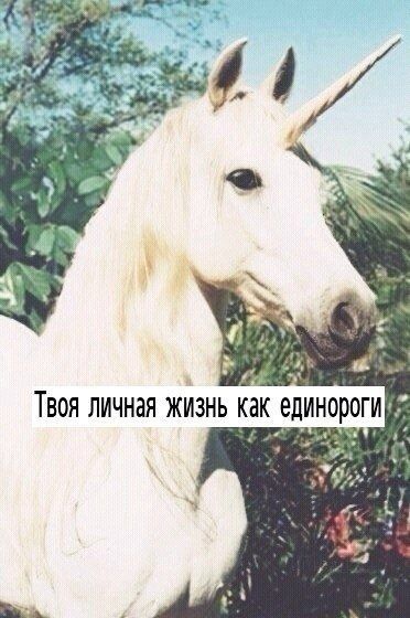 Прикольные картинки (79 фото)
