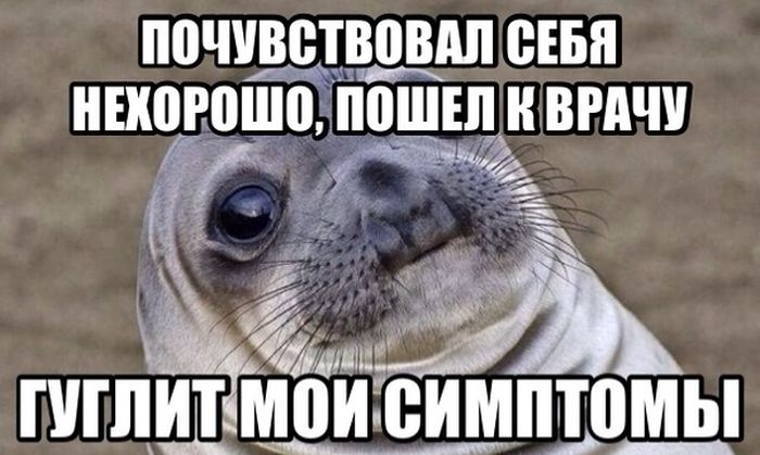 Прикольные картинки (117 фото)