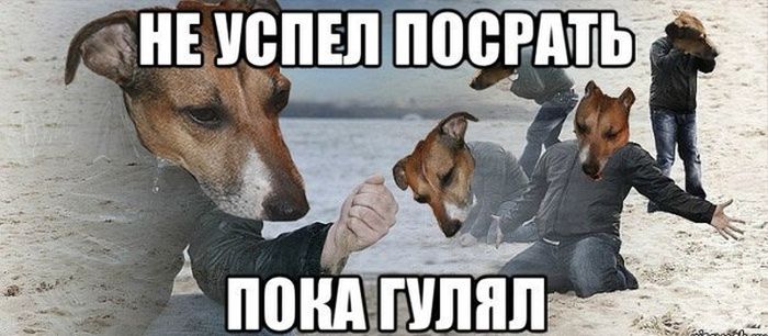 Прикольные картинки (117 фото)