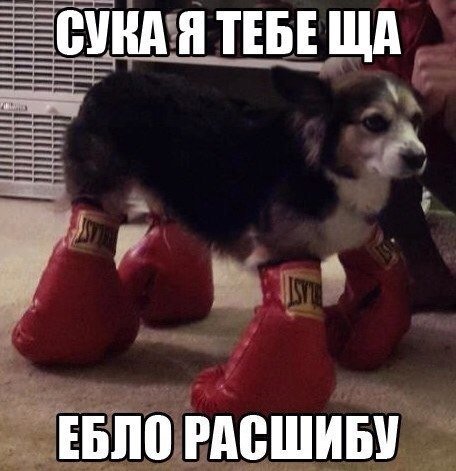 Картинки с политическим оттенком... 18+