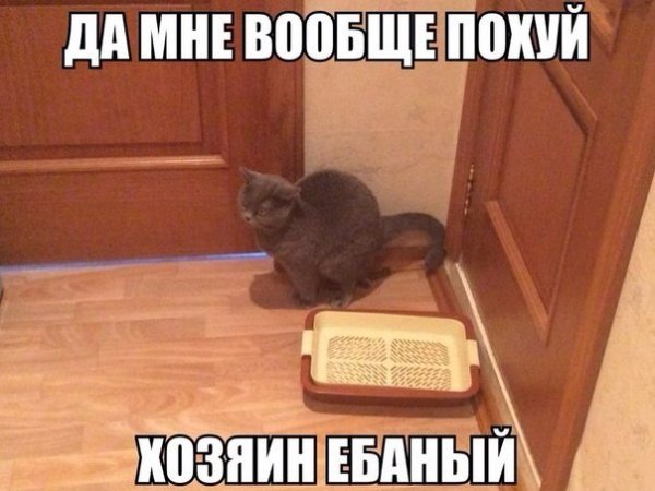 Картинки с политическим оттенком... 18+