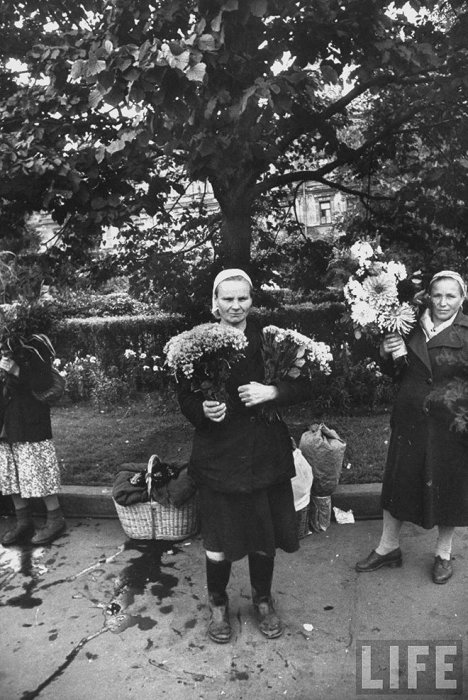 Москвички в 1956 году (52 фото)