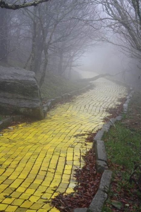 Прикольные картинки (97 фото)