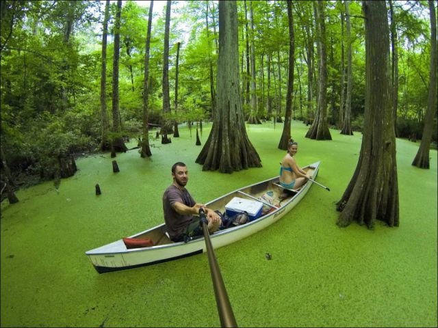 Лучшие кадры, сделанные камерой GoPro