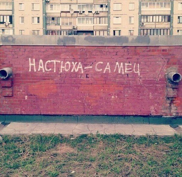 Забавные картинки