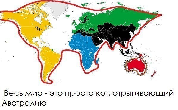 Забавные картинки