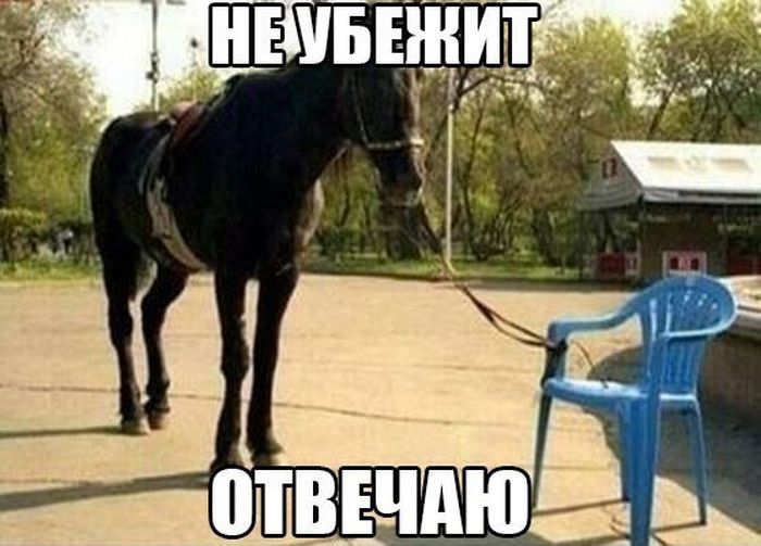 Прикольные картинки (72 фото)