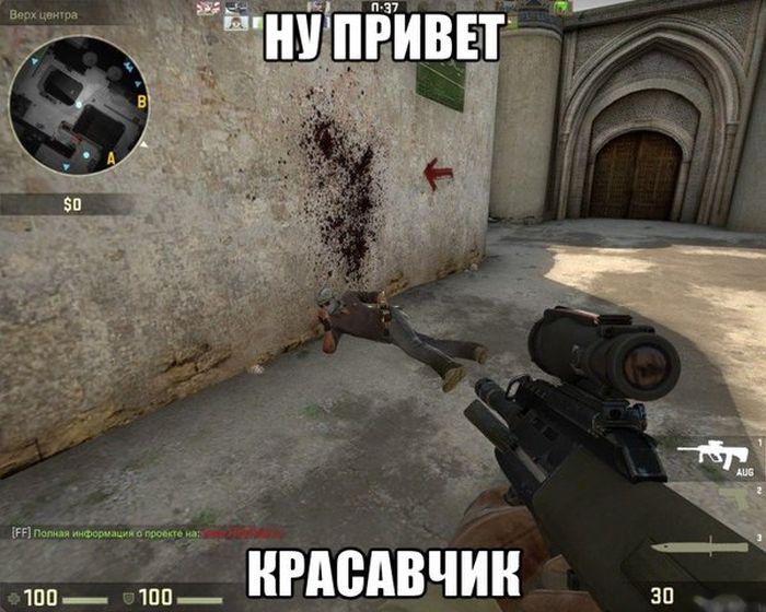 Забавные картинки