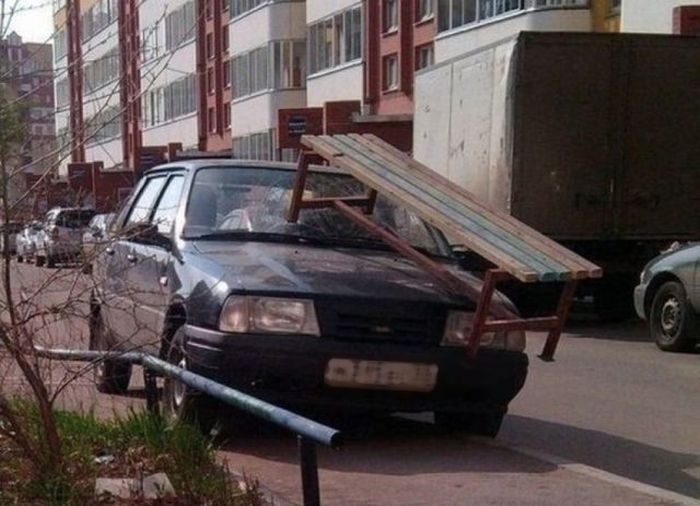 Забавные картинки