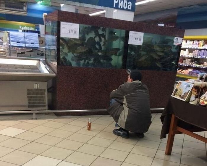 Забавные картинки