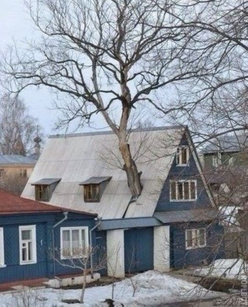 Прикольные картинки (72 фото)