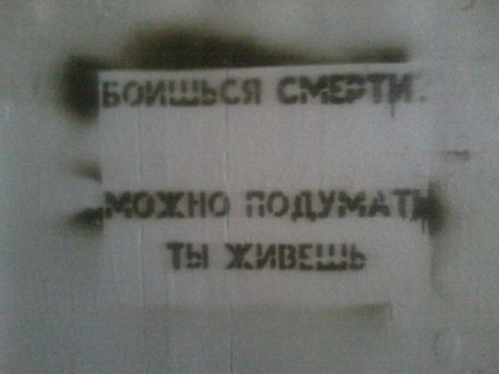 Прикольные картинки (91 фото)