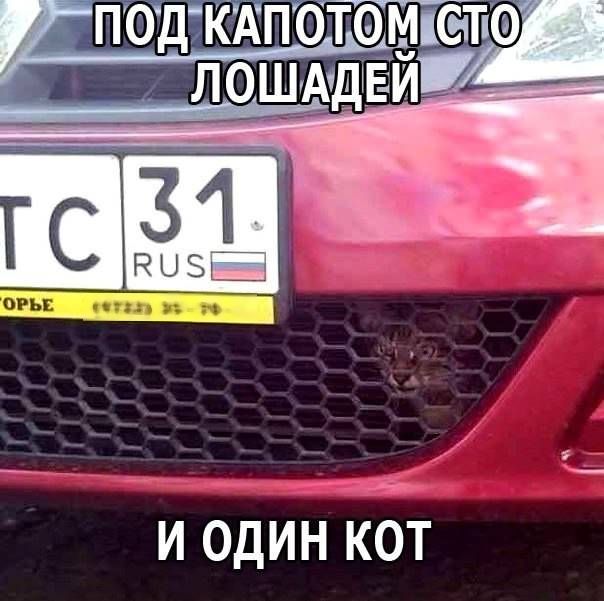 Прикольные картинки (91 фото)