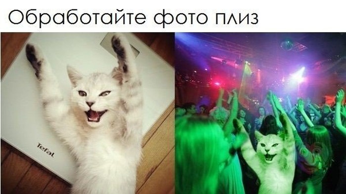 Прикольные картинки (91 фото)