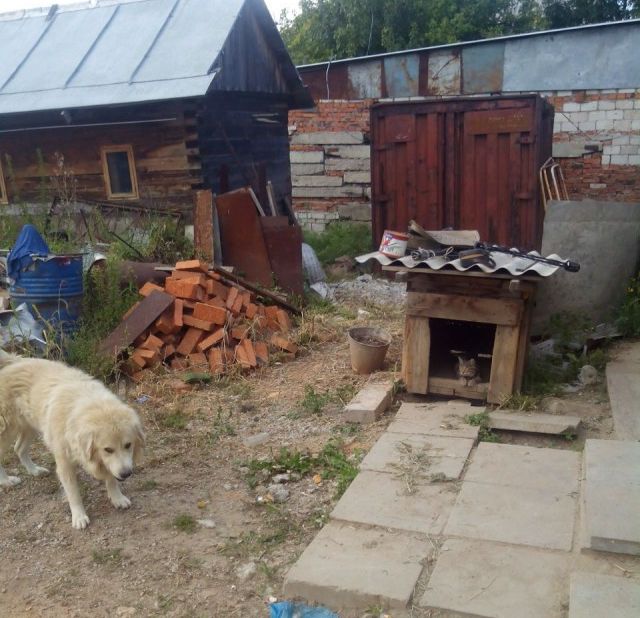 Прикольные картинки (85 фото)