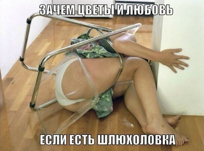 Забавные картинки
