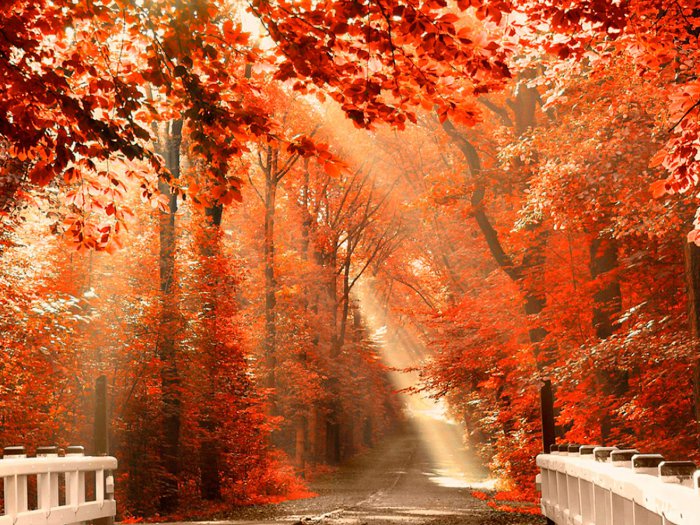 Обои на рабочий стол / HQ Wallpapers for a desktop (Part 303)