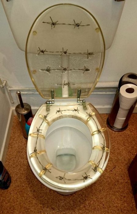 Забавные картинки