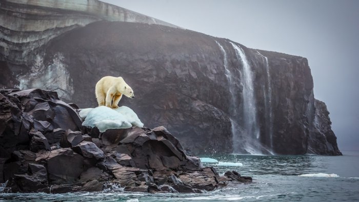 National Geographic: лучшие фотографии августа