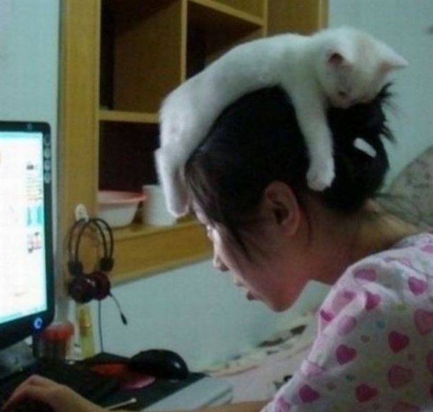 Прикольные картинки