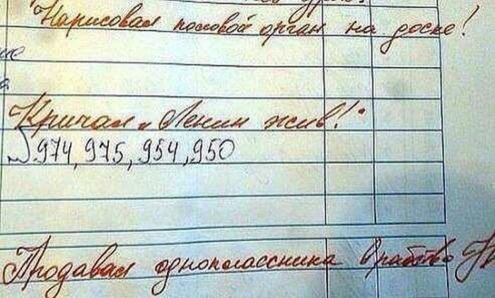 Забавные картинки