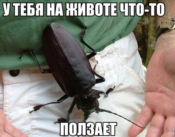 Прикольные картинки (73 фото)