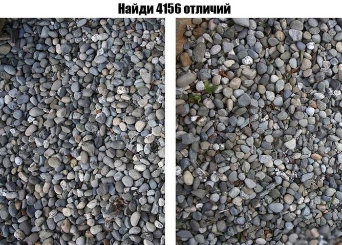 Прикольные картинки (73 фото)