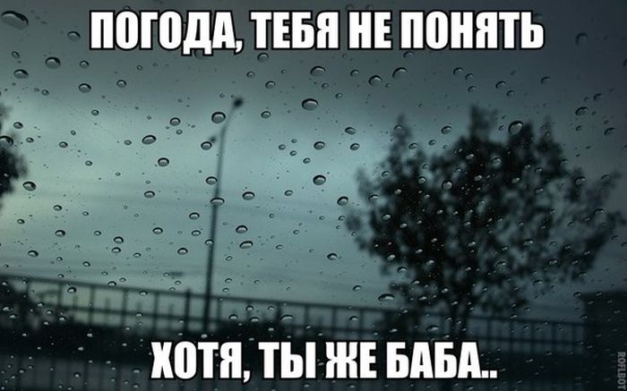 Прикольные картинки (81 фото)
