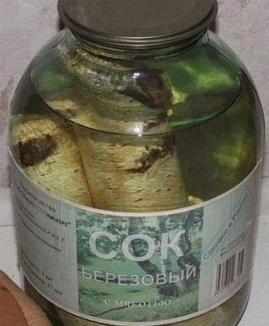 Прикольные картинки (86 фото)