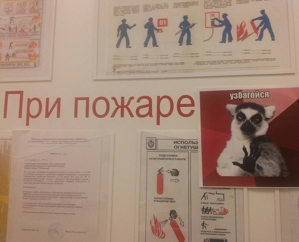 Прикольные картинки (80 фото)