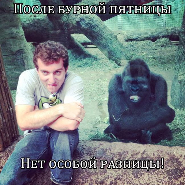 Прикольные картинки (80 фото)