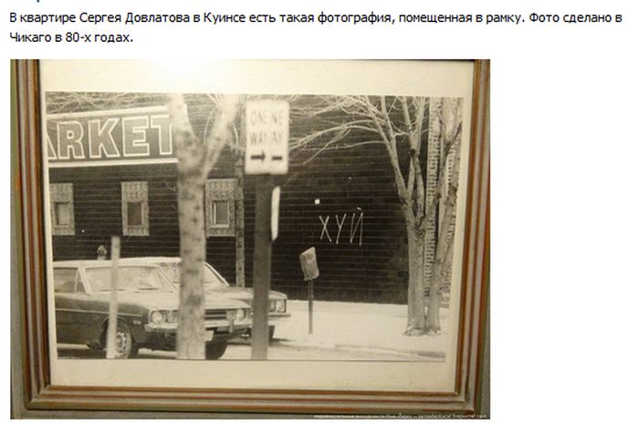 Забавные картинки