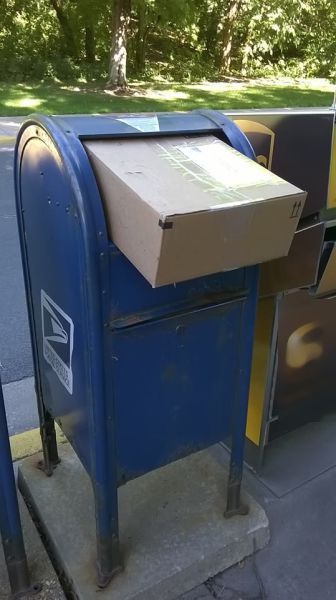 Забавные картинки