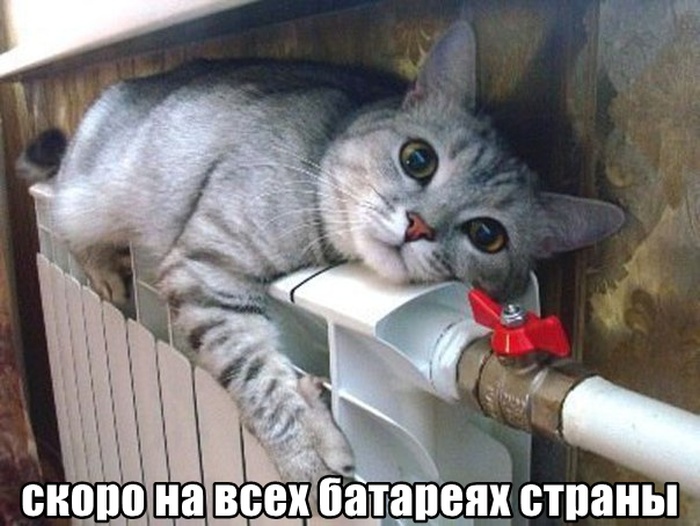 Порция картинок
