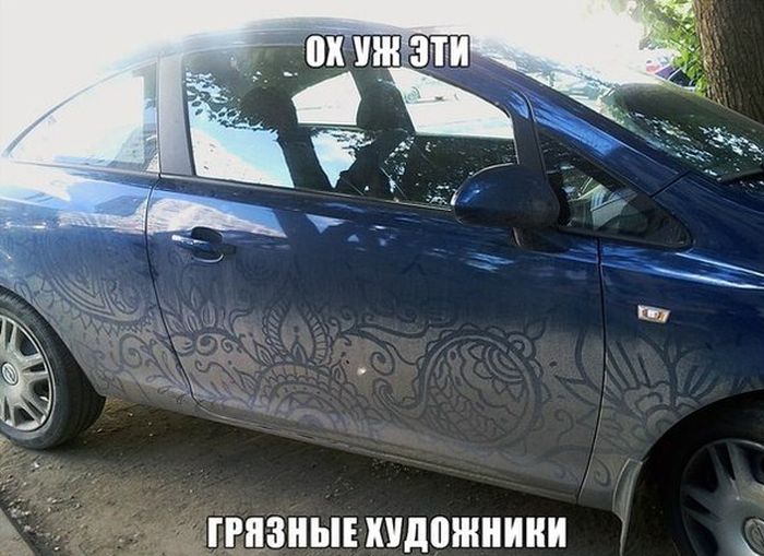 Прикольные картинки (78 фото)