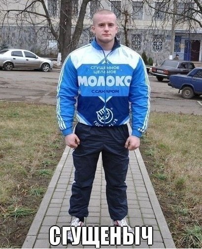 Забавные картинки