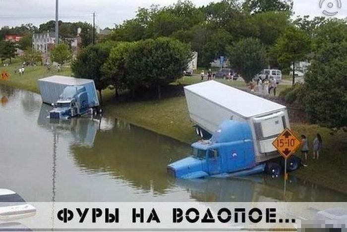 Забавные картинки
