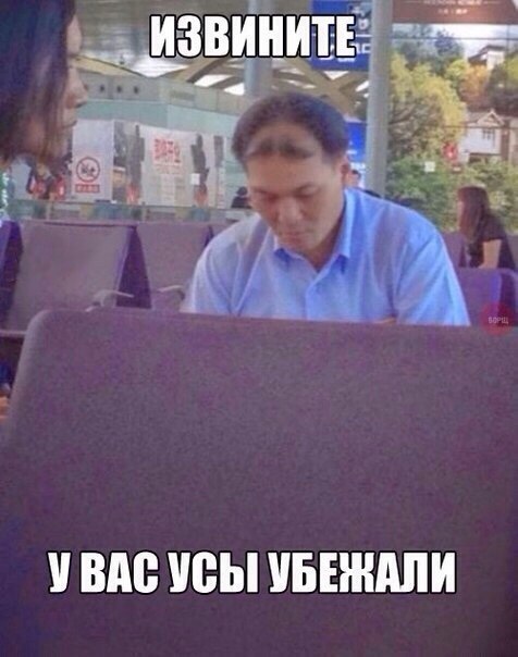 Забавные картинки