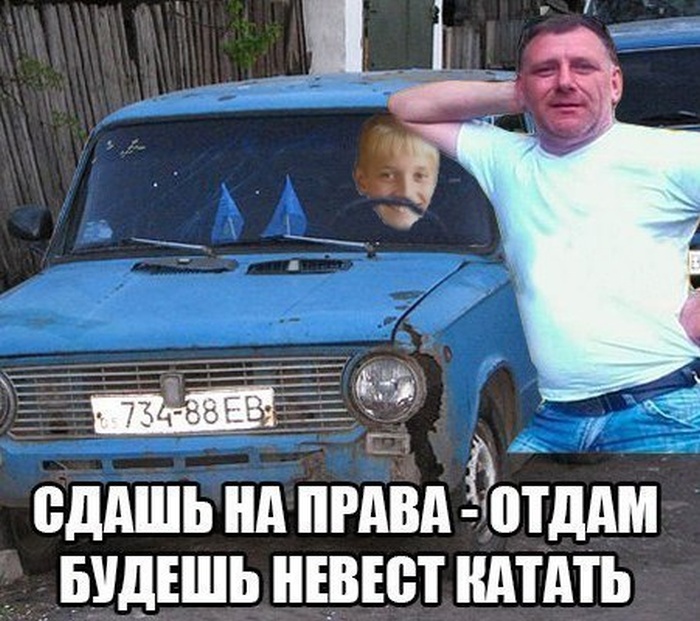 Забавные картинки