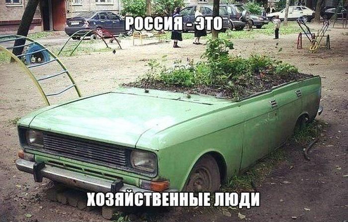 Забавные картинки