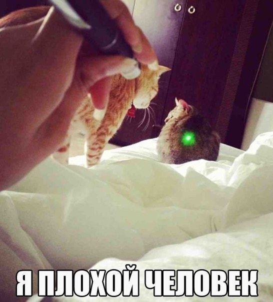Прикольные картинки (98 фото)