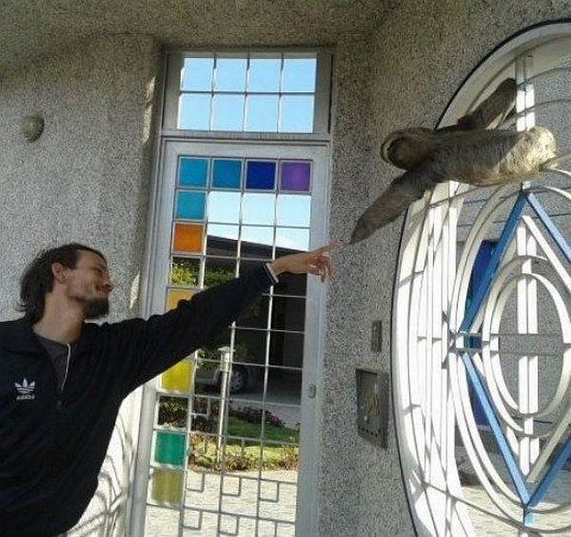 Прикольные картинки (98 фото)