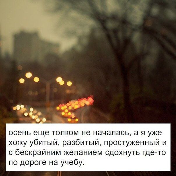 Прикольные картинки (98 фото)