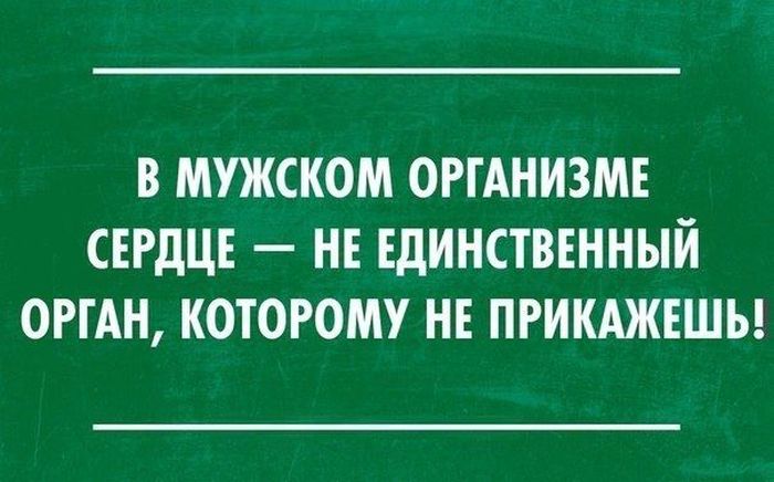 Прикольные картинки (98 фото)