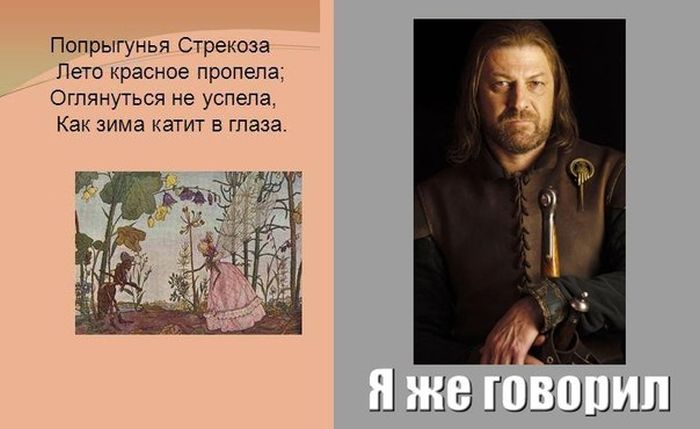 Забавные картинки