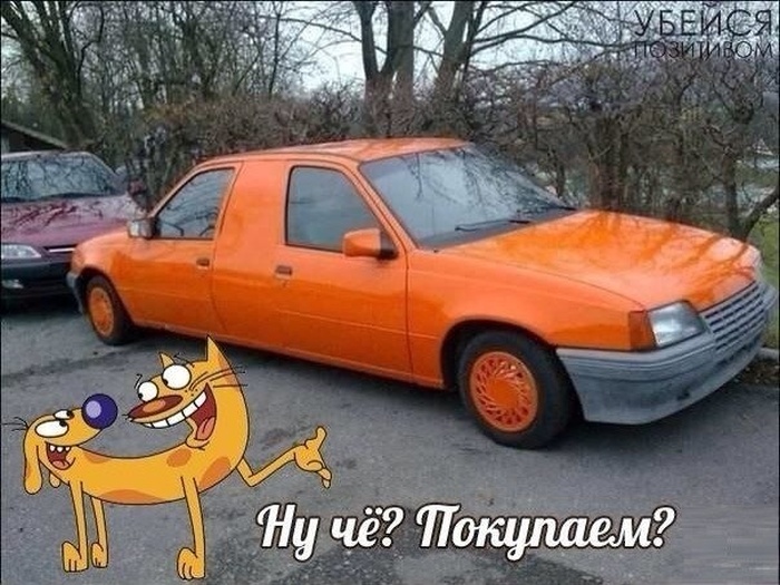 Забавные картинки